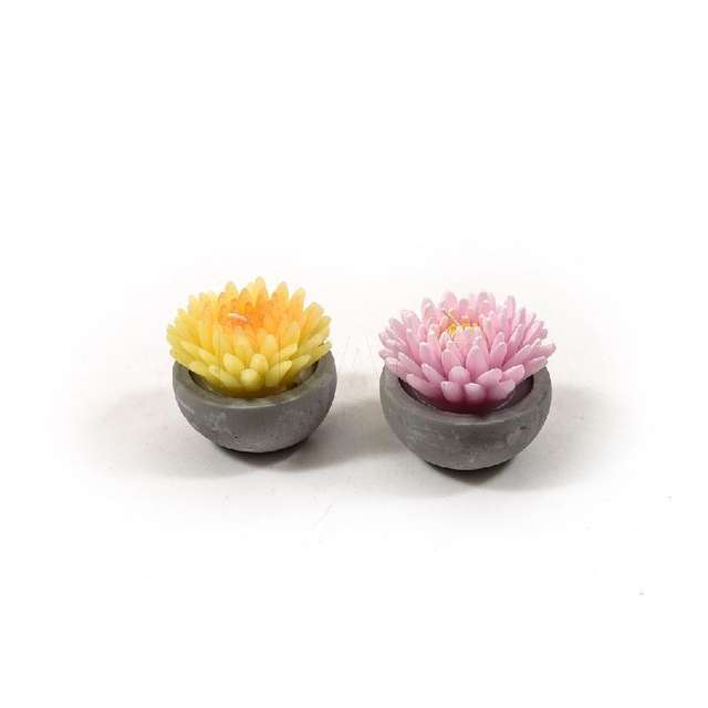 Candela crisantemo in vaso di cemento cm.7.5x5.7 assortita - Principale