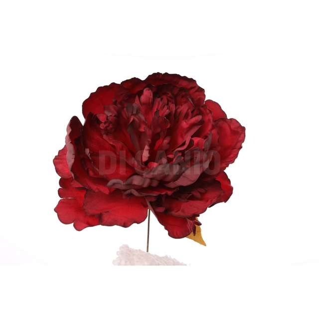 Pick peonia rosso - Principale