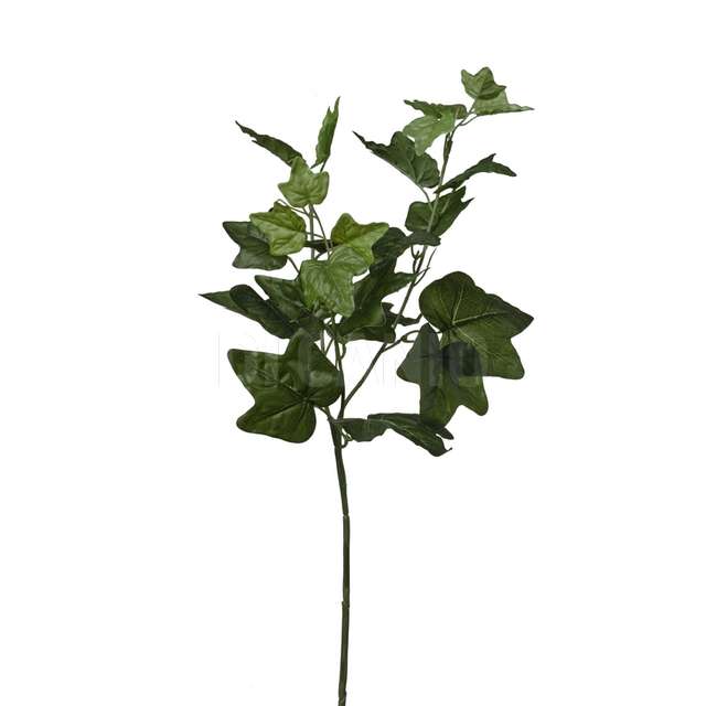 Ramo edera x 3 cm.67 green - Principale