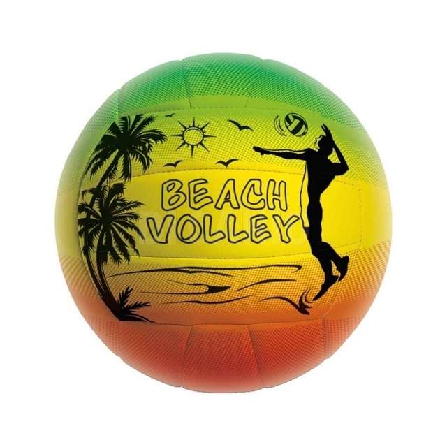 Pallone volley rainbow mondo - Principale