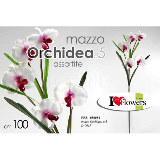 Mazzo orchidea x 5 assortito - Principale