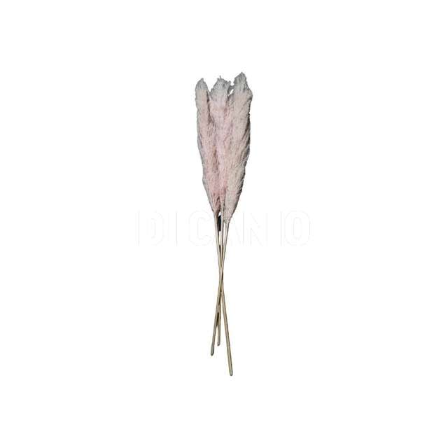Ramo pampas cm.24x120 3 pezzi autumu - Principale