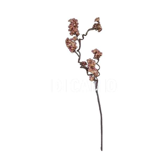 Hypericum x 6 (24_432) arp - Principale