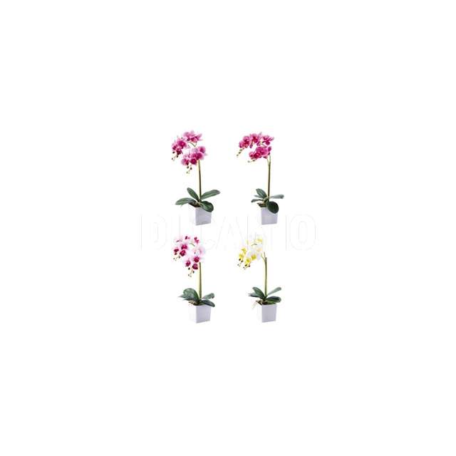 Vaso con orchidea 12 f cm.27x52 colori assortiti - Principale