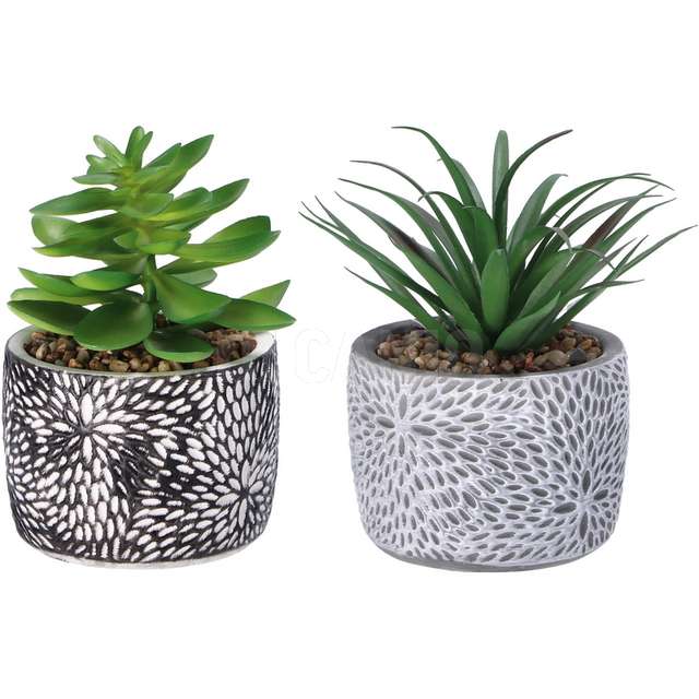 Vaso con pianta grazza x decorare dm.11x - Principale