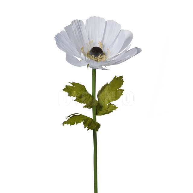 Ramo anemone cm.105 white - Principale