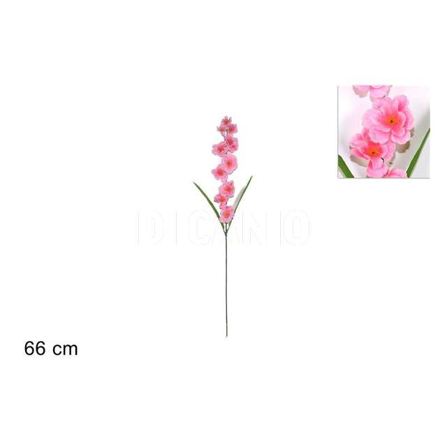 Stelo fiori pesco - Principale