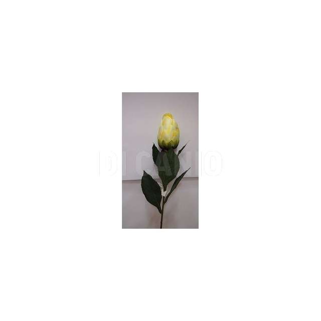 Protea singola yellow arp.-a04678-78- - Principale