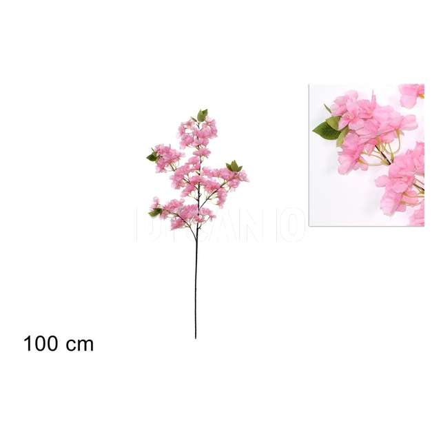 Stelo fiori di pesco con foglie - Principale