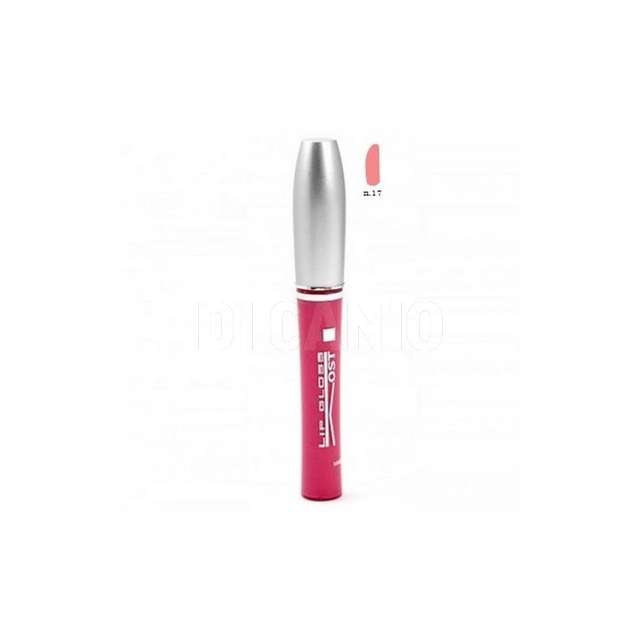 Lip gloss kost 17 - Principale