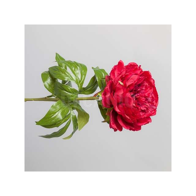 Ramo peonia cm.68 new red.. - Principale