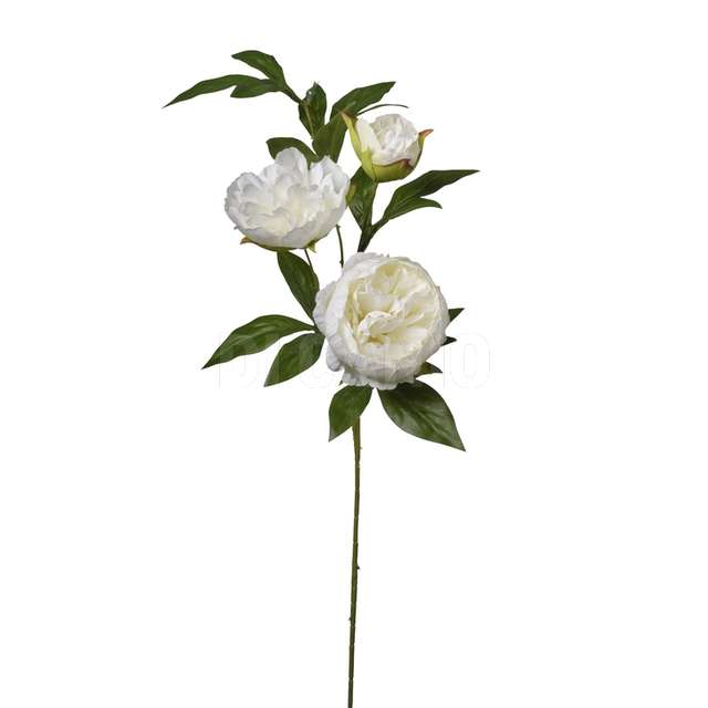 Ramo peonia x 3 cm.80 cream - Principale