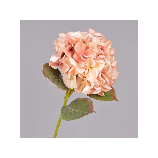 Ramo ortensia cm.23x66 autun. pink - Principale