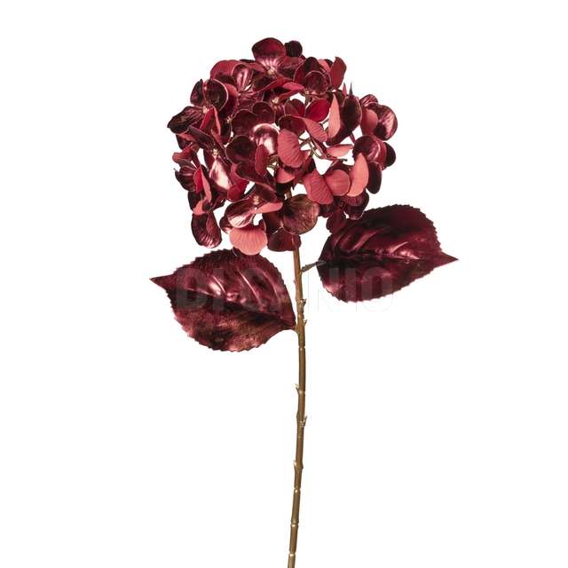 Ramo ortensia cm 75 burgundy - Principale