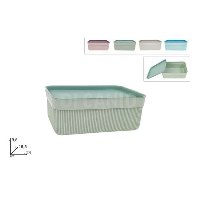 Contenitore plastica con coperchio 4 colori - Principale