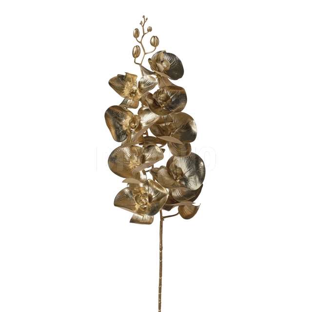 Ramo orchidea cm97 champagne - Principale