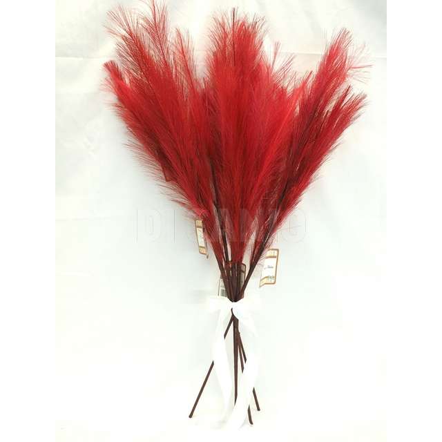 Ramo piuma h.80 cm. rosso - Principale