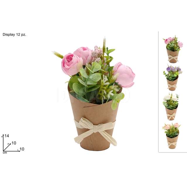 Piantina rose con cartoncino 4 colori - Principale