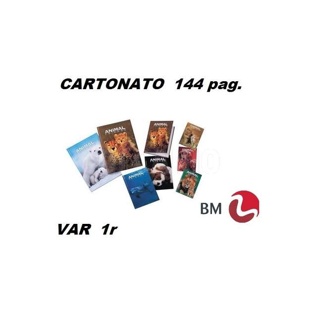 Quaderno maxi cartonato 144pag. var.10m bm - Principale