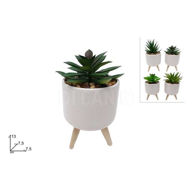 Piantina grassa con treppiede dm.7.5 cm.bianca 4 assortite - Principale
