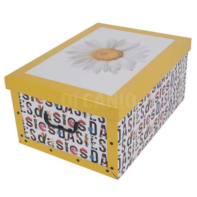 Scatola cartone c/coperchio montato 52x40x25 decoro flowera miss.space - Principale