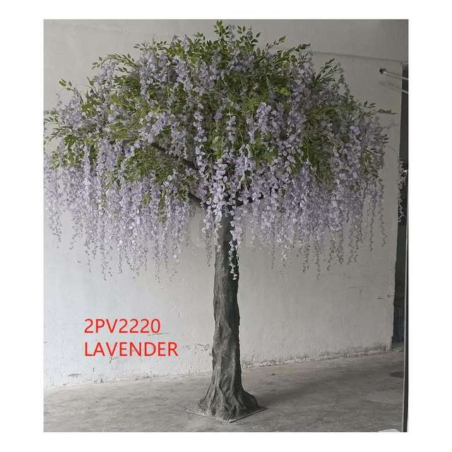 Pianta glicine cm.300x300 lavanda - Principale