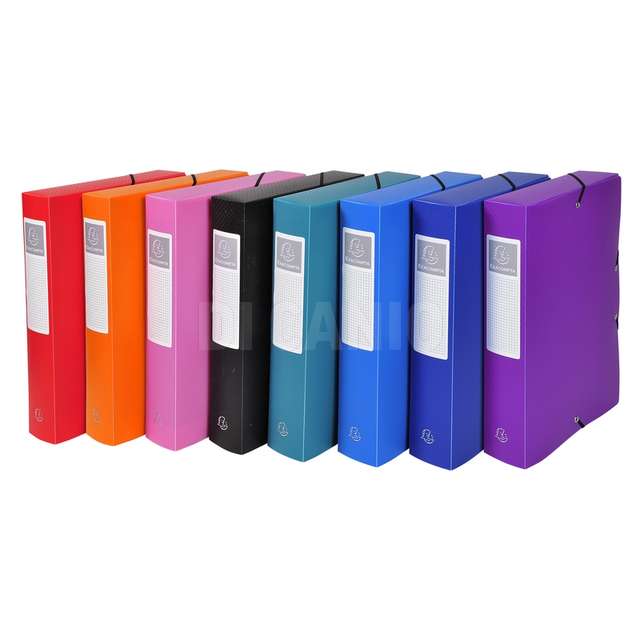 Cartella archivio box opak pp d60mmcon elastico assortite - Principale