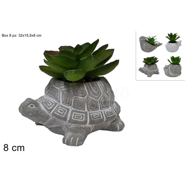 Vasetto animaletto con pianta grassa 4 assortito - Principale