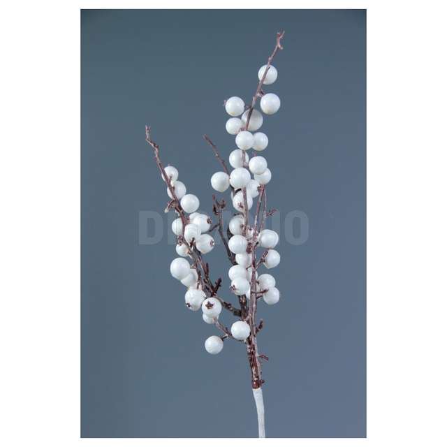 Bacca autunnale col. crm arp. a09465 - Principale