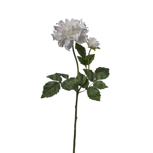 Ramo dalia x 2 cm.60 cream - Principale