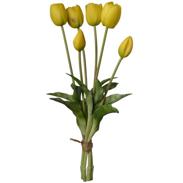Mazzo tulipano x 6 cm,15x15x39 giallo - Principale