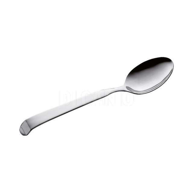 Cucchiaione servire inox 18//10 astra pintinox cm 24 - Principale