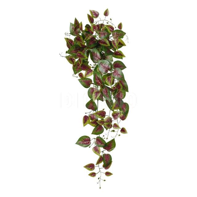 Mazzo cadenti foglie x 145 cm.100 coleus - Principale