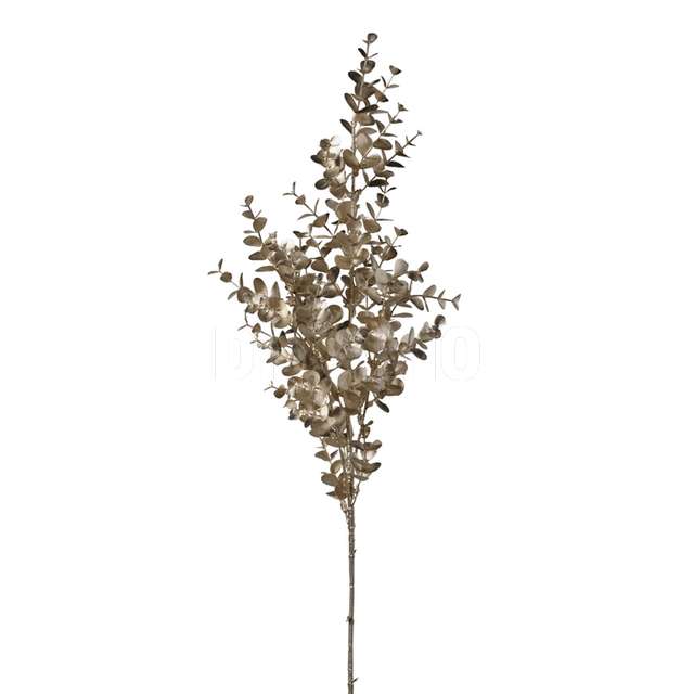 Ramo eucalipto cm 84 champagne - Principale