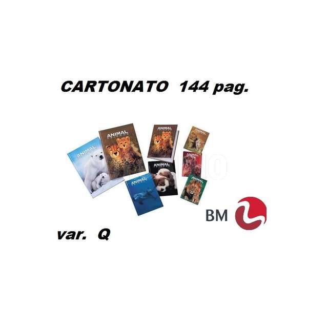 Quaderno maxi cartonato 144pag. var.q bm - Principale