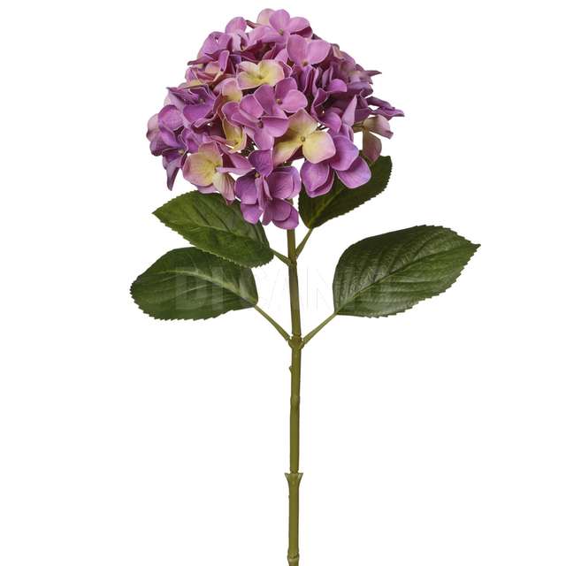 Ramo ortensia cm 61/d.22 cm - Principale