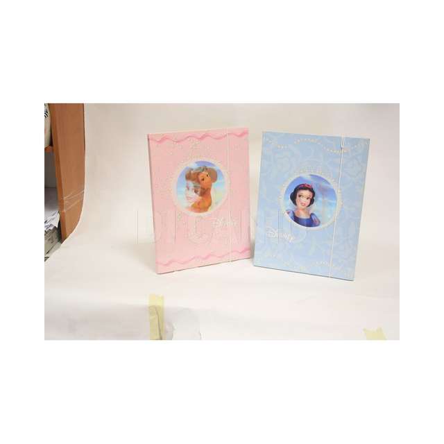 Cartella 3 lembi c_elastico disney princess 2ass (24) partenope - Principale