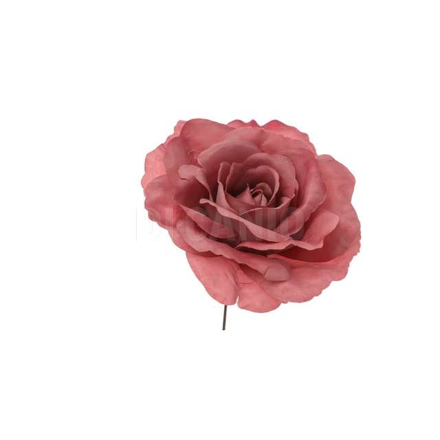 Pick rosa rosa - Principale
