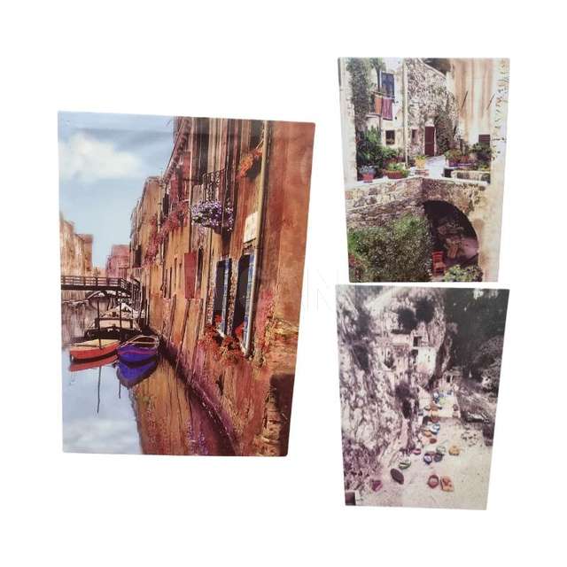 Quadro tela 15,5x22 ass. (12) gicos - Principale
