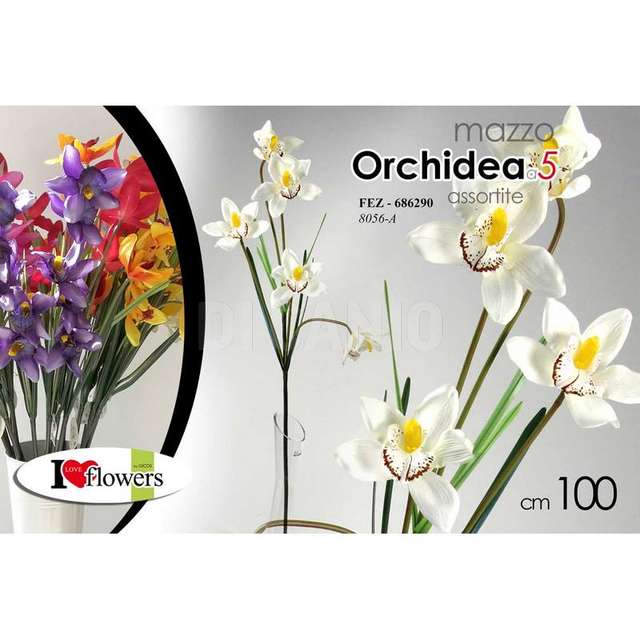 Mazzo orchidea x 5 assortito - Principale