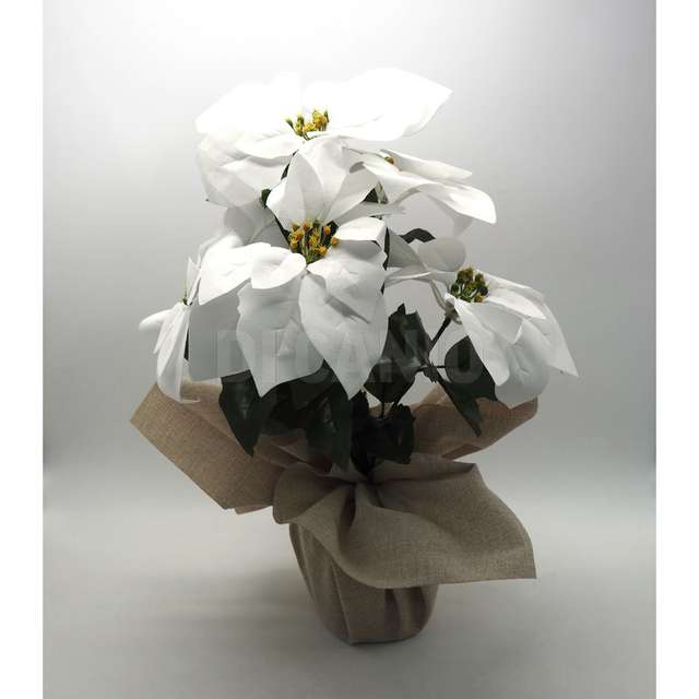 Stella natale bianca con 5 rami e 5 fiori h.50x30 cm. con juta h.11x14 cm. - Principale