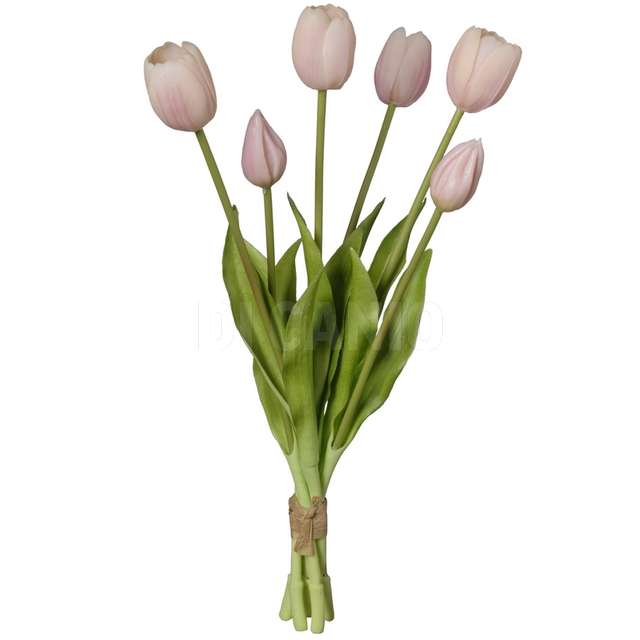 Mazzo tulipano x 6 cm, 15x15x39 rosa chiaro - Principale