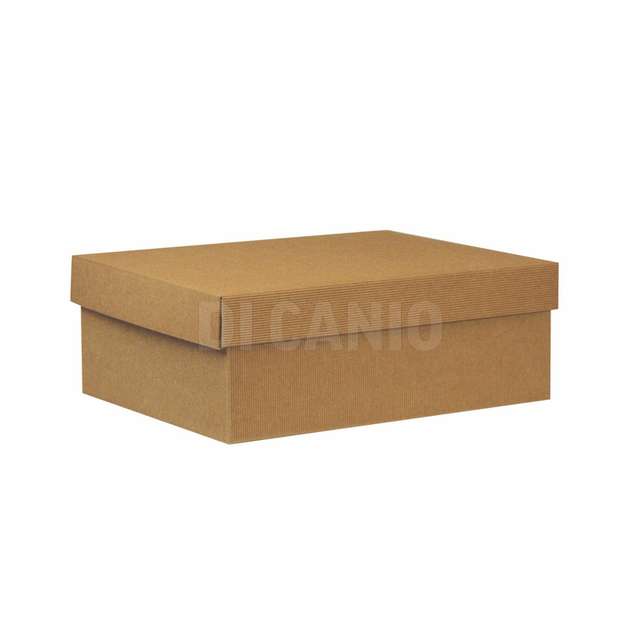 Scatola cartone onda avana cm.39.5x30x14 linea 1000 - Principale