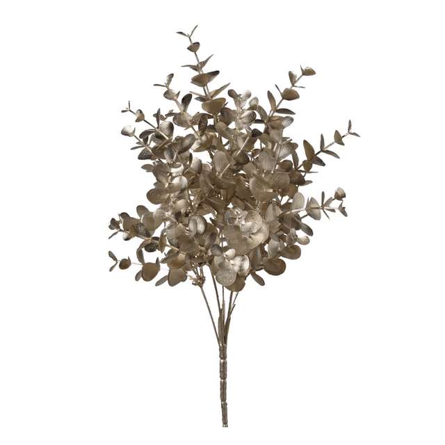 Mazzo eucalipto cm 37 champagne - Principale