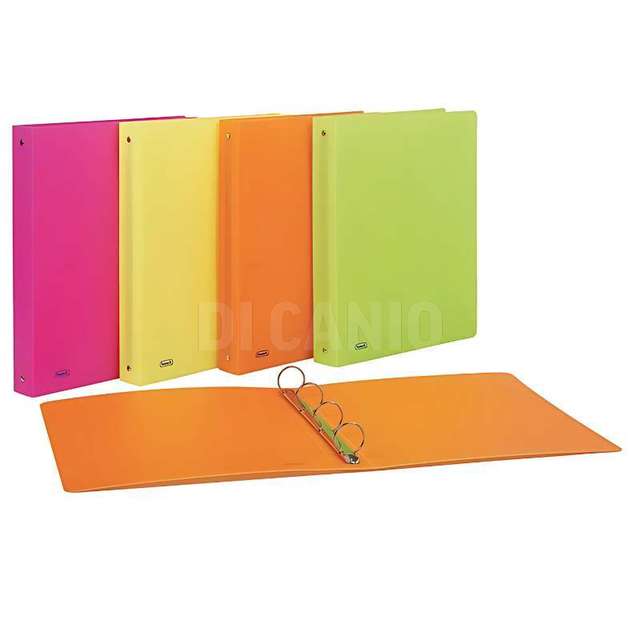Raccoglitore 4 anelli neon cm.22x30 assortito - Principale