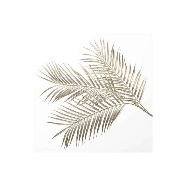 Ramo palma x 3 cm 86 champagne - Principale
