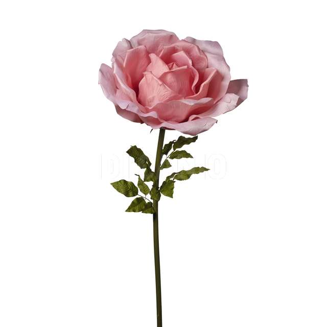 Ramo rosa cm.170 pink - Principale