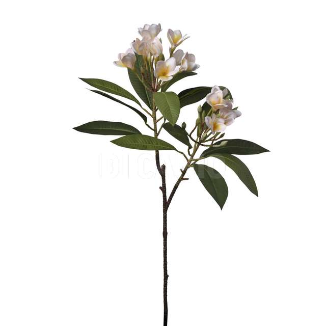 Ramo plumeria cm.88 pink - Principale