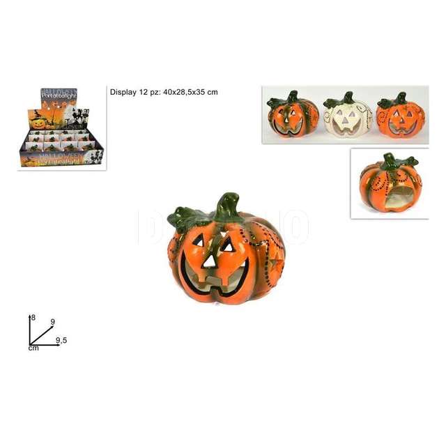 Zucca portatealighr cm.9.5 3 ass. - Principale