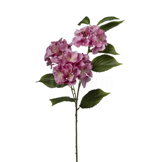 Ramo ortensia x 3 cm.80 beauty - Principale